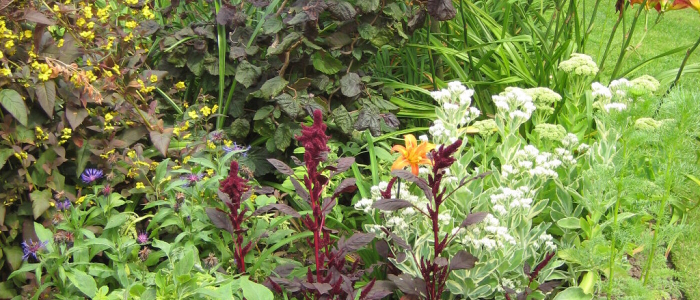 Cleobury Open Gardens