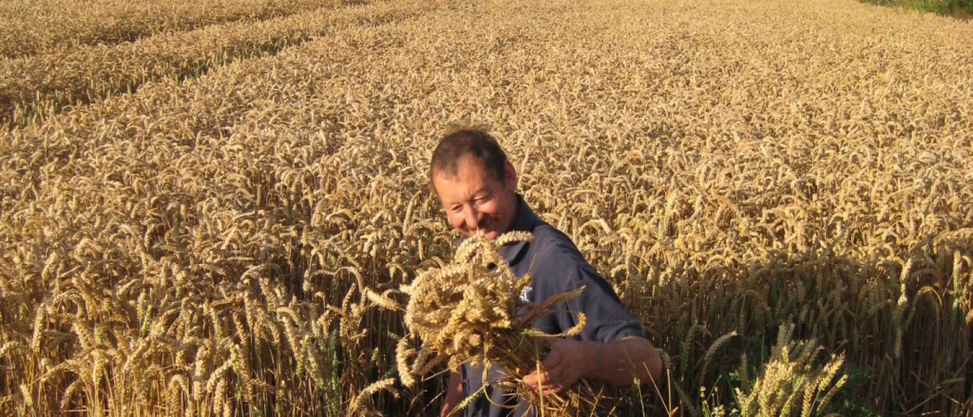 Gathering Sheaves