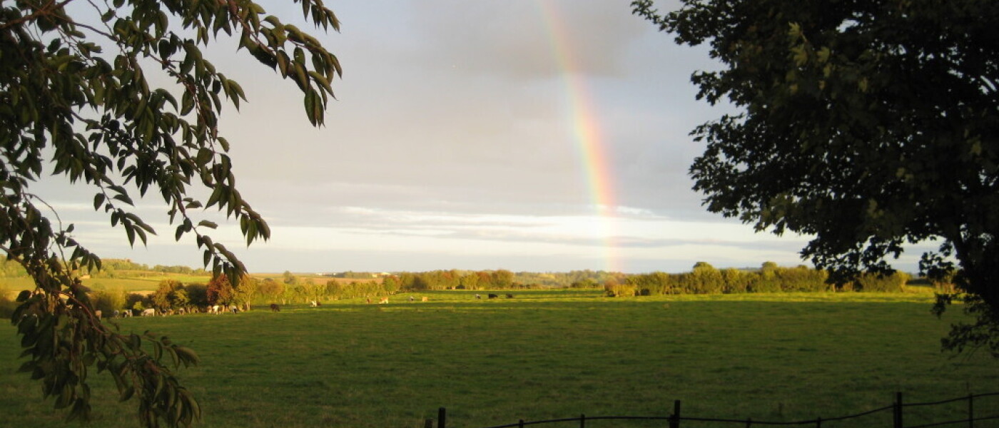 Sunshine and Showers