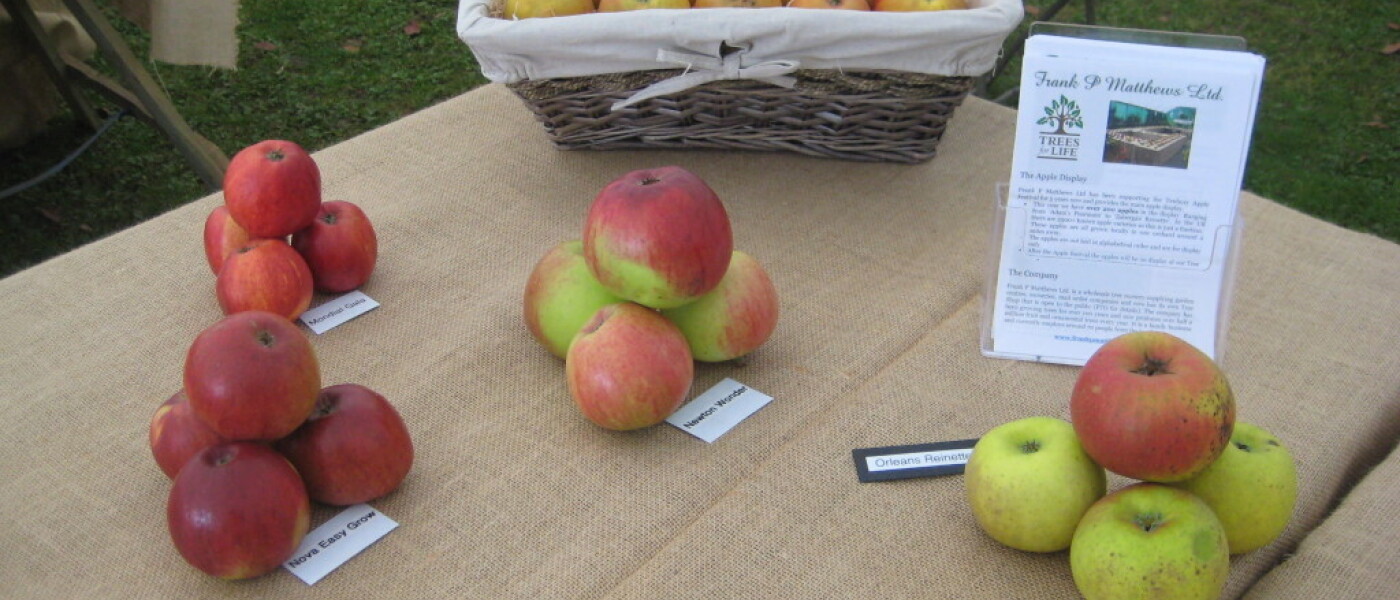 Tenbury Applefest
