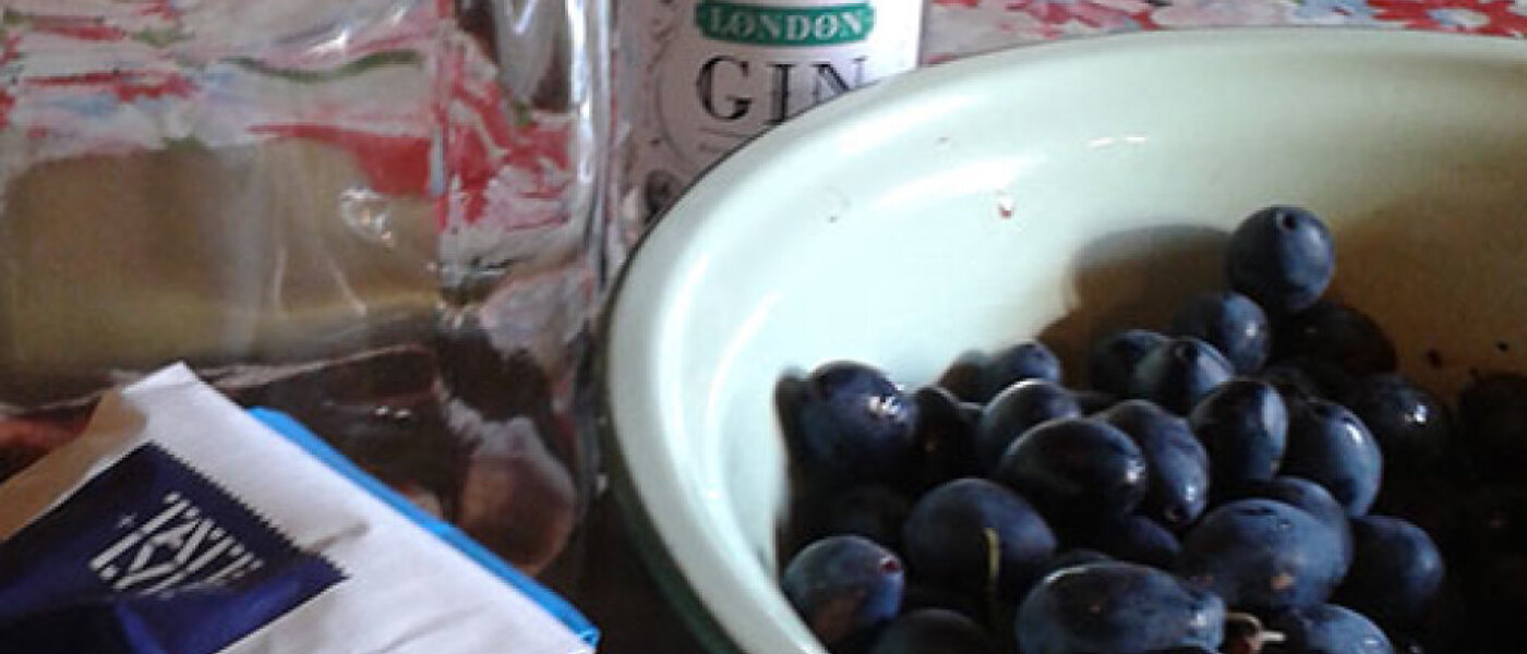 The Shropshire Prune