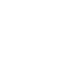 service6.jpg